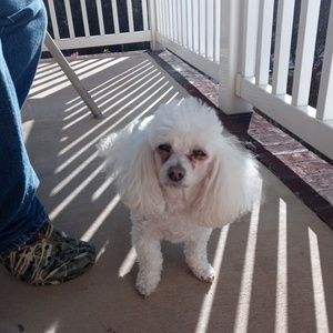 Meet your Posher, Becca